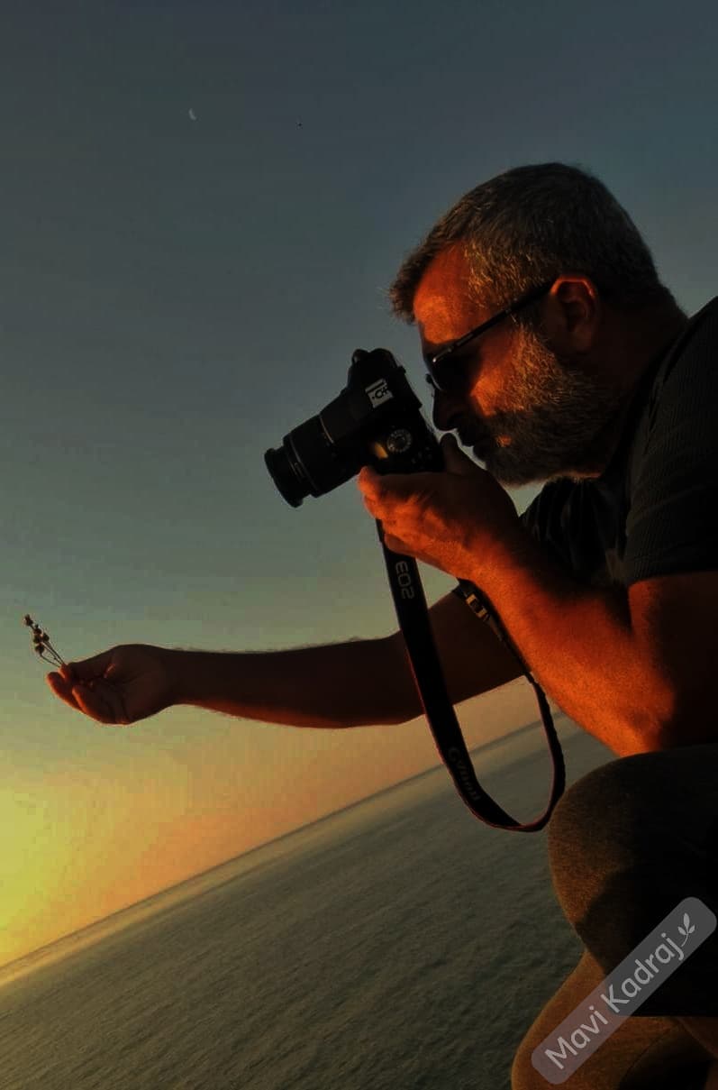 Gün batımında doğadaki küçük bir ayrıntıyı fotoğraflayan Mavi Kadraj