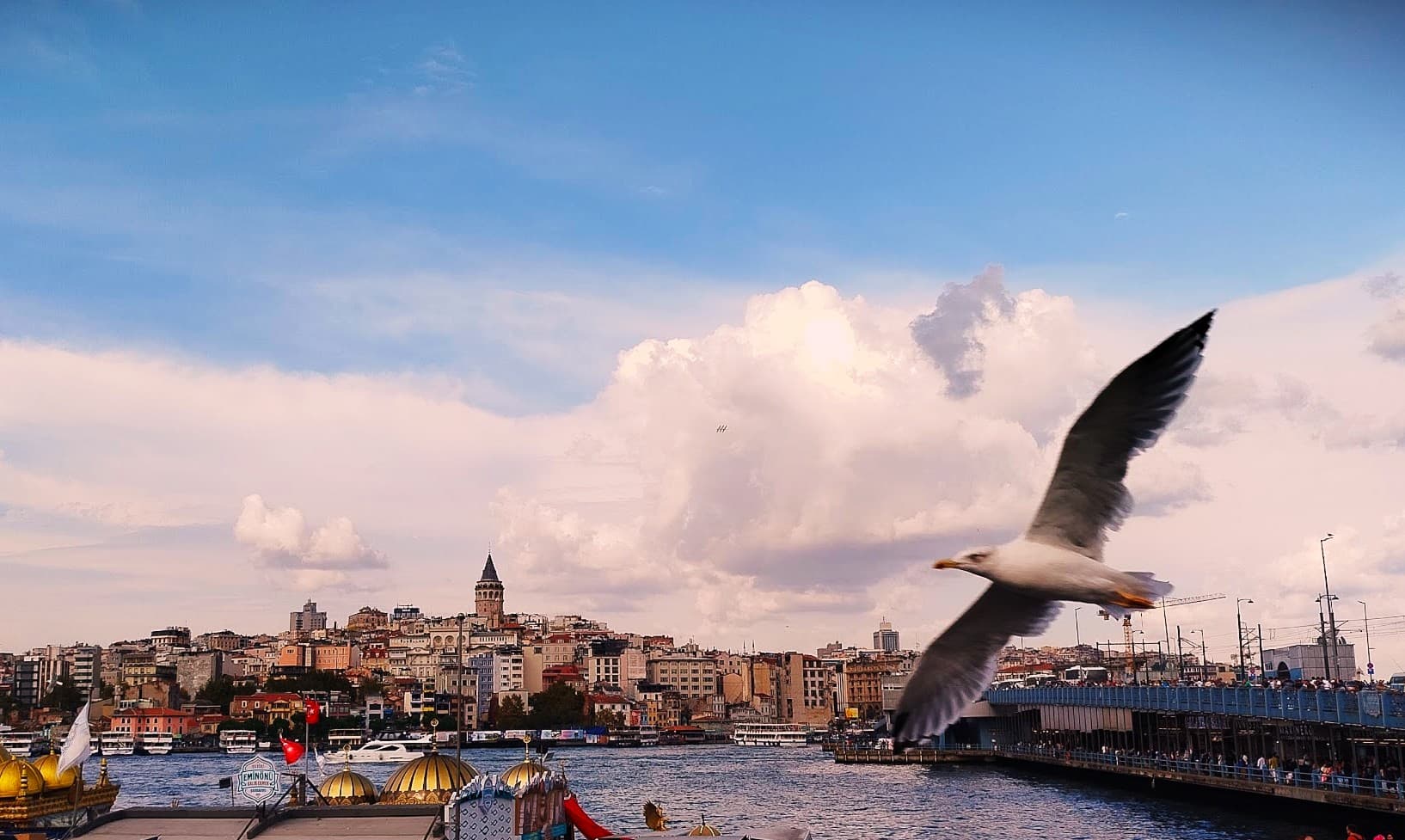 Rastgele Kadrajlar koleksiyonundan bir fotoğraf